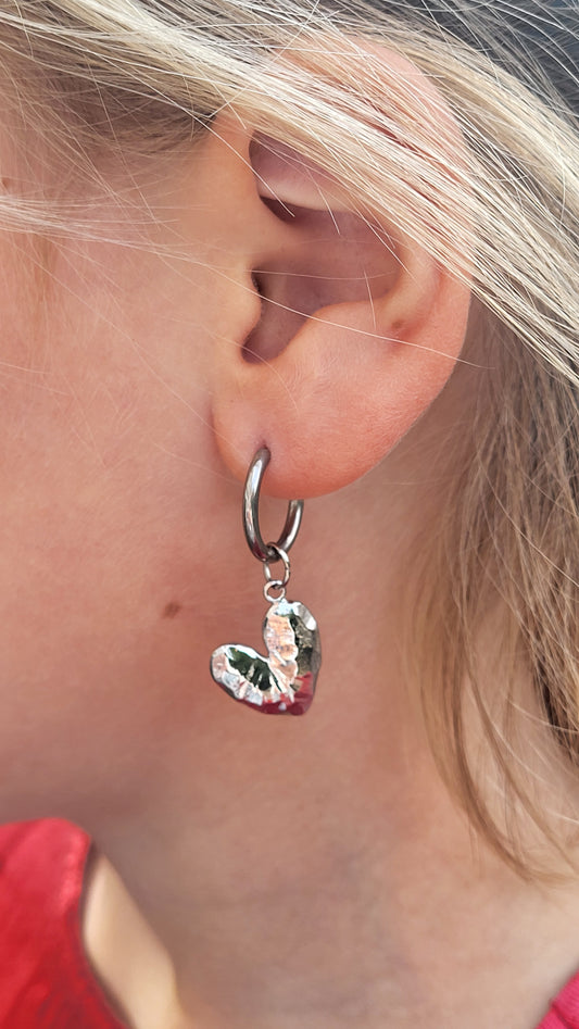 Stainless steel oorringen met hangers | Love