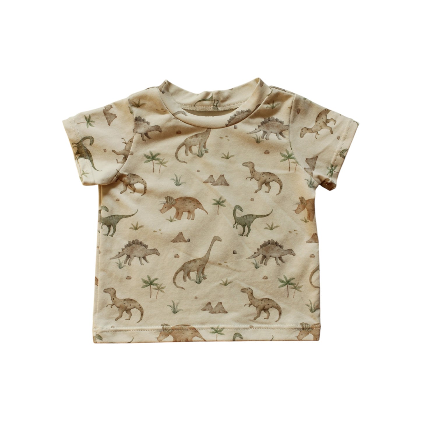 Littlemay.nl | Baby T-shirt - Dino's