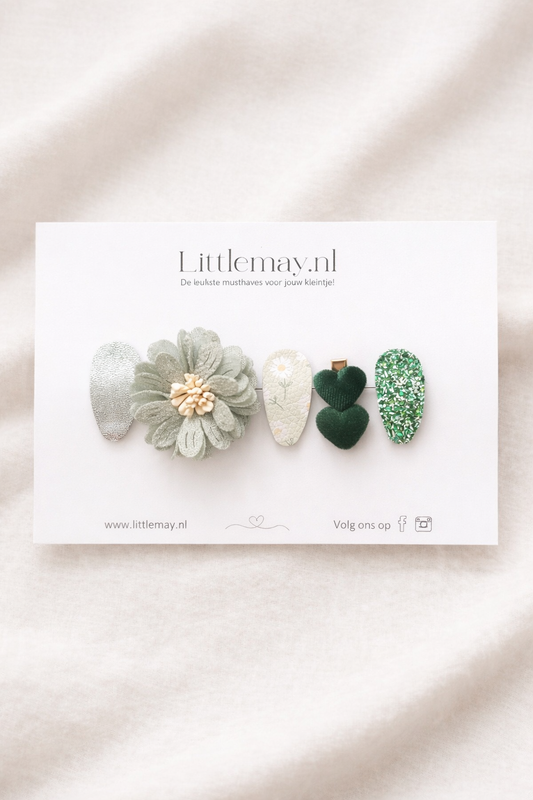 Littlemay.nl Haarspeldjes | Cadeauset 19